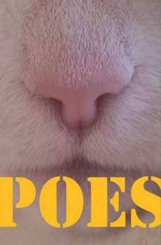 Poes